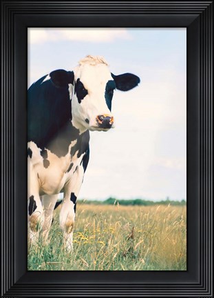 Framed Kenton Print