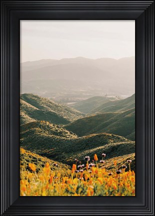Framed Palomar Print