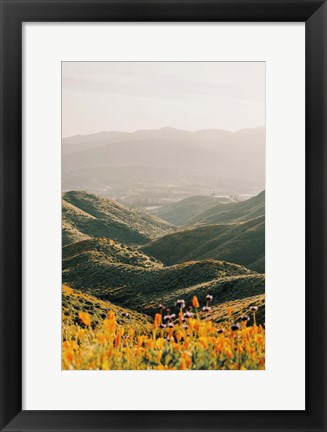 Framed Palomar Print