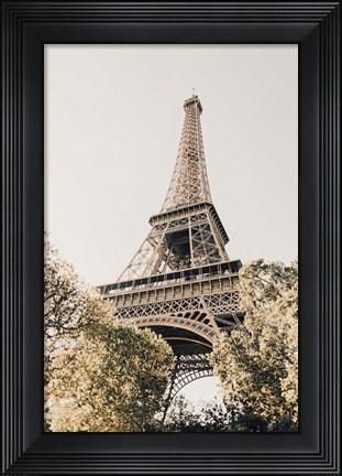 Framed Paris Print
