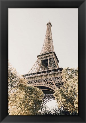 Framed Paris Print