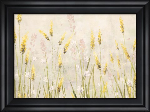 Framed Actaea Simplex Print