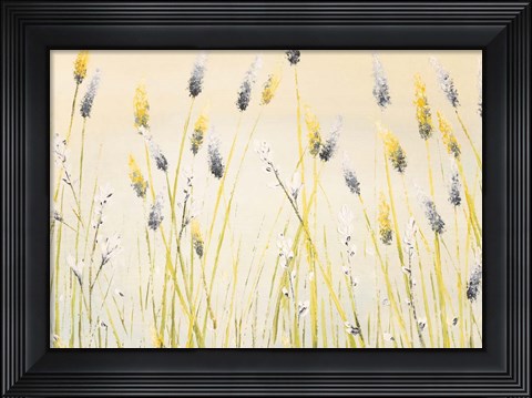 Framed Bugbane Field Print
