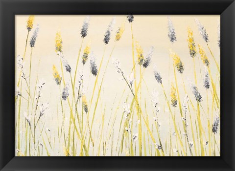 Framed Bugbane Field Print