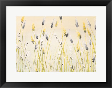 Framed Bugbane Field Print