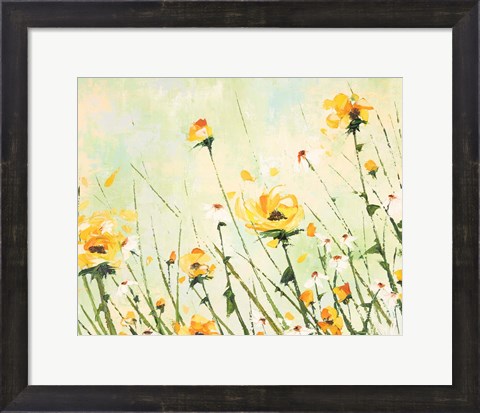Framed Chrysanthemum and Daisy Field Print