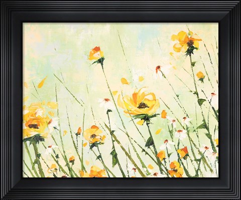 Framed Chrysanthemum and Daisy Field Print