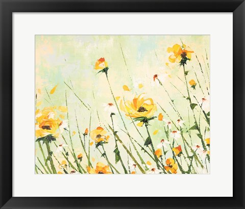 Framed Chrysanthemum and Daisy Field Print