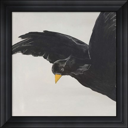Framed Finding Treasures Print