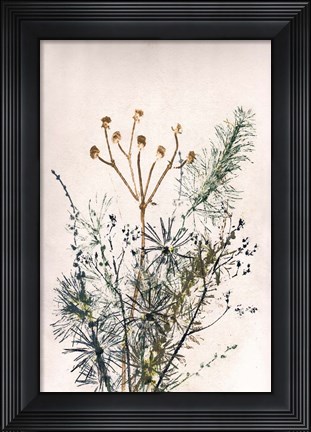 Framed Bouquet 5 Print