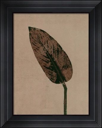 Framed Calathea Brown Print
