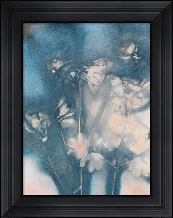 Framed Columbine 2 Peach Blue Print