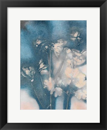 Framed Columbine 2 Peach Blue Print