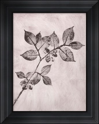 Framed Elm 1 Brown Print