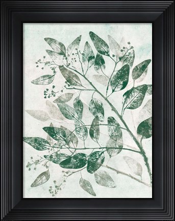 Framed Eucalyptus 1 Green Print