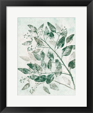 Framed Eucalyptus 1 Green Print