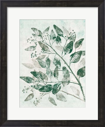 Framed Eucalyptus 1 Green Print