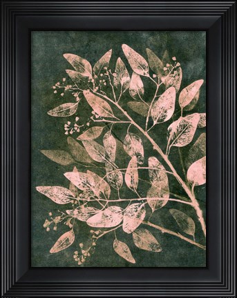 Framed Eucalyptus 1 Moss Blush Print