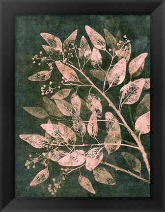 Framed Eucalyptus 1 Moss Blush Print