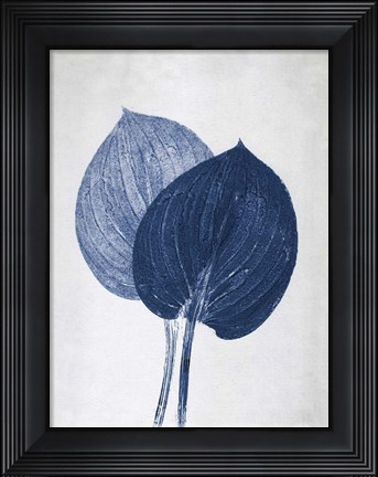 Framed Hosta 2 Blue Print
