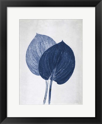 Framed Hosta 2 Blue Print