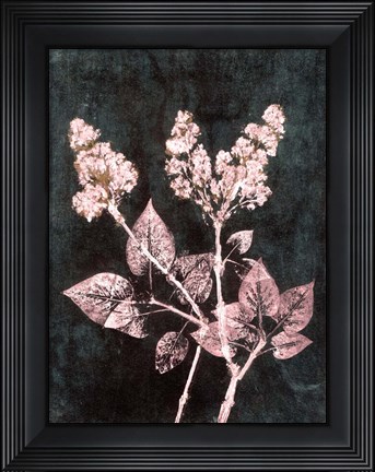 Framed Lilac 1 Blush Dark Green Print