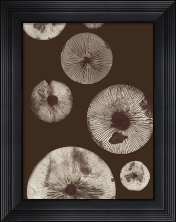 Framed Mushroom 5 Dark Brown Print