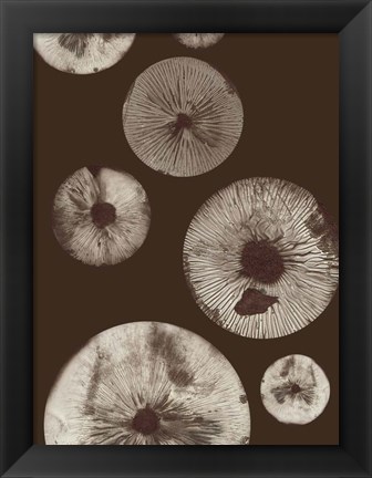 Framed Mushroom 5 Dark Brown Print