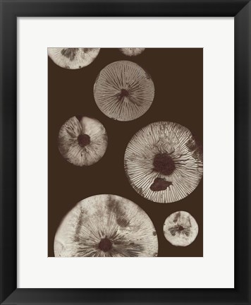 Framed Mushroom 5 Dark Brown Print