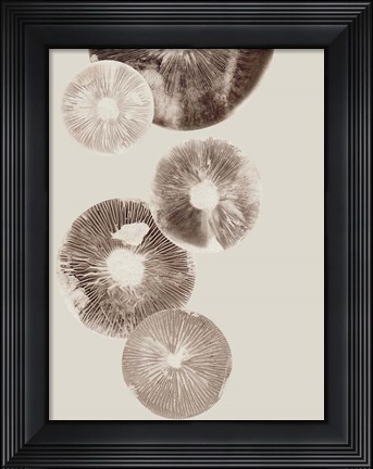 Framed Mushroom 6 Light Brown Print