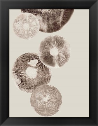 Framed Mushroom 6 Light Brown Print