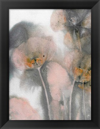 Framed Poppy Salmon Grey Print