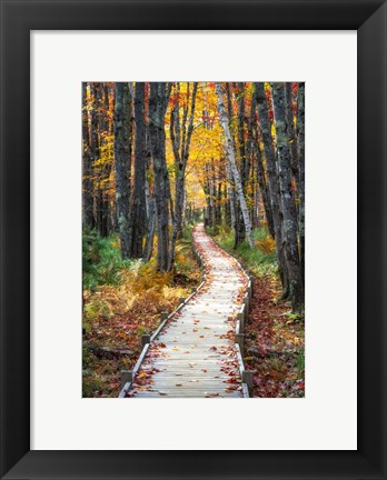 Framed Autumn Boardwalk I Print