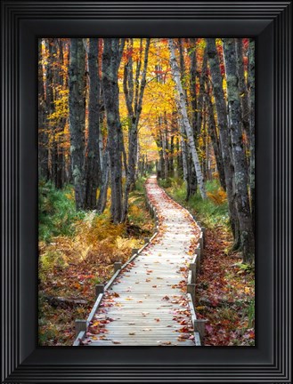 Framed Autumn Boardwalk I Print
