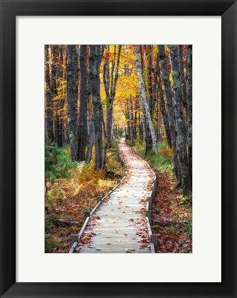 Framed Autumn Boardwalk I Print