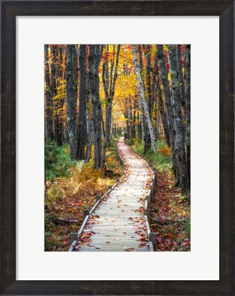 Framed Autumn Boardwalk I Print