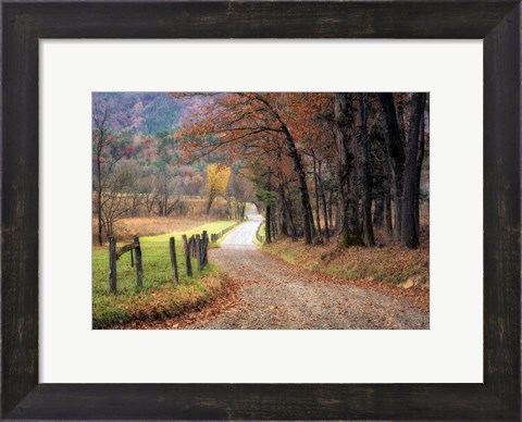 Framed Autumn Drive I Print