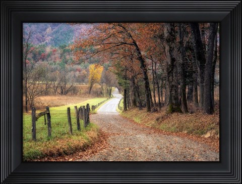 Framed Autumn Drive I Print