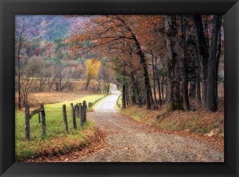 Framed Autumn Drive I Print