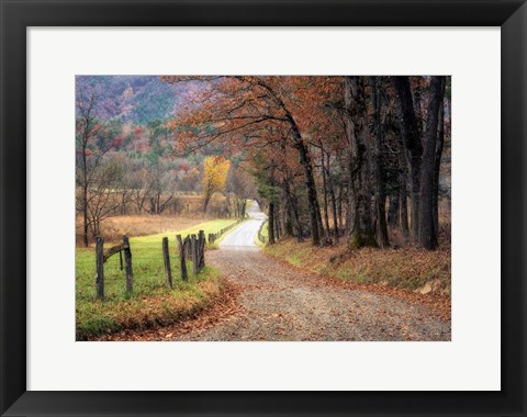 Framed Autumn Drive I Print