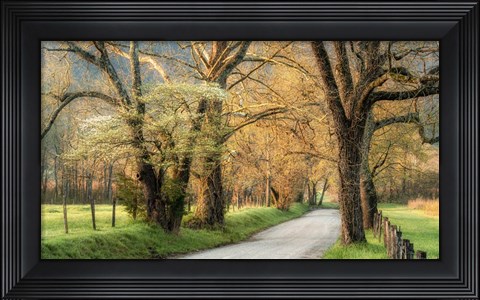 Framed Dogwoods Print
