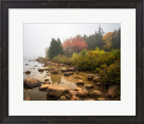 Framed Misty Maine Print