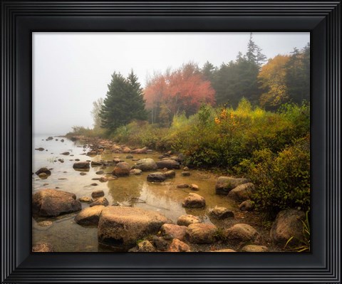 Framed Misty Maine Print