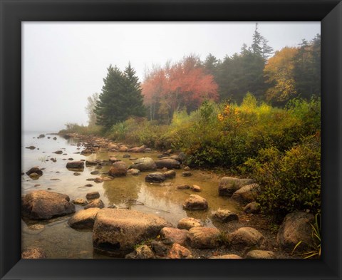 Framed Misty Maine Print