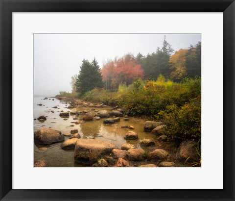 Framed Misty Maine Print