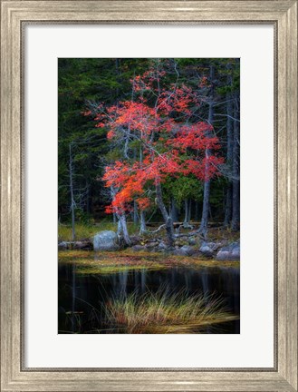 Framed Red Reflections I Print