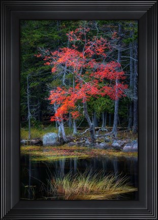 Framed Red Reflections I Print