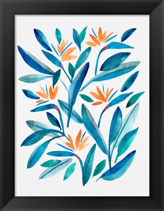 Framed Bird of Paradise Flower 1 Print