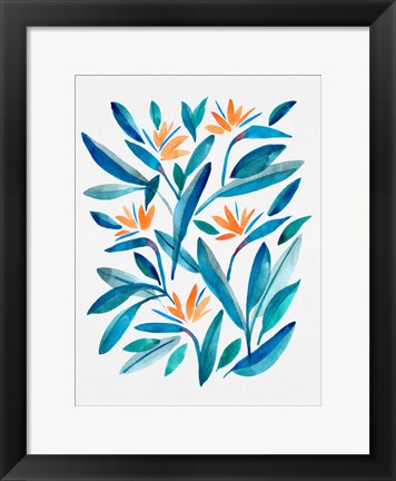 Framed Bird of Paradise Flower 1 Print