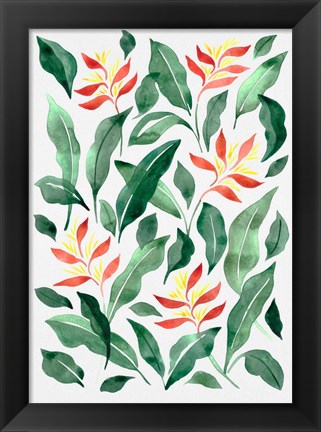Framed Parakeet Flower Print